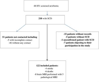 Low Stroke Risk in Children With Sickle Cell Disease in French Guiana: A Retrospective Cohort Study